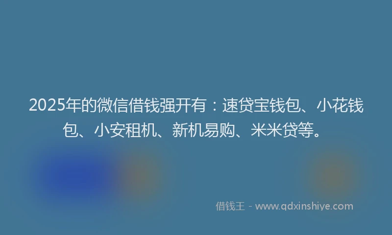2025年的微信借钱强开有：速贷宝钱包、小花钱包、小安租机、新机易购、米米贷等。