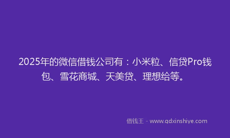 2025年的微信借钱公司有：小米粒、信贷Pro钱包、雪花商城、天美贷、理想给等。