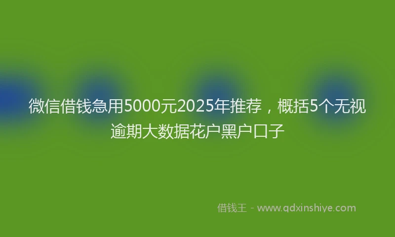 微信借钱急用5000元2025年推荐，概括5个无视逾期大数据花户黑户口子