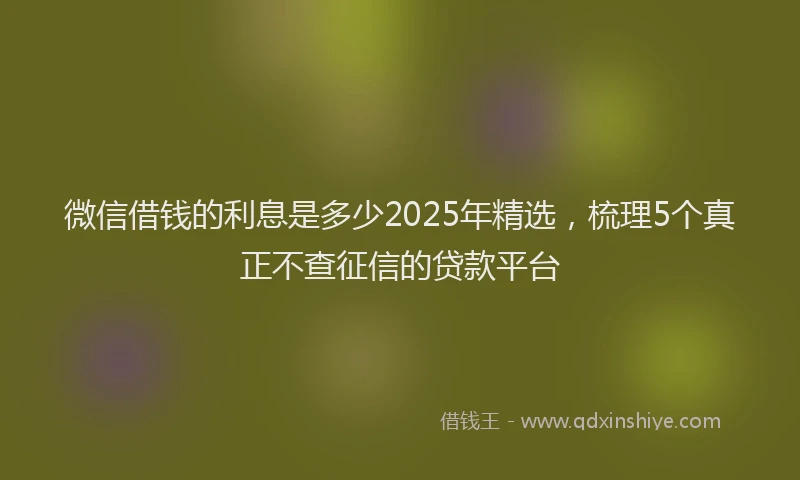 微信借钱的利息是多少2025年精选，梳理5个真正不查征信的贷款平台