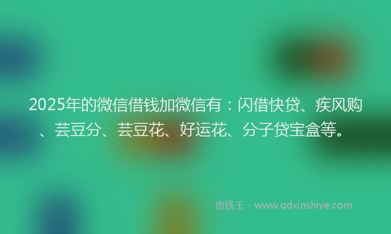 2025年的微信借钱加微信有：闪借快贷、疾风购、芸豆分、芸豆花、好运花、分子贷宝盒等。