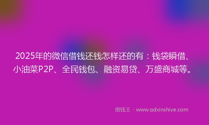 2025年的微信借钱还钱怎样还的有：钱袋瞬借、小油菜P2P、全民钱包、融资易贷、万盛商城等。