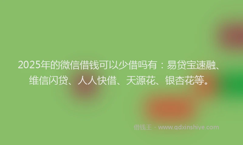 2025年的微信借钱可以少借吗有：易贷宝速融、维信闪贷、人人快借、天源花、银杏花等。