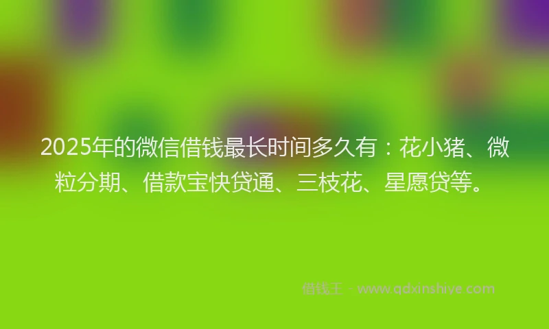 2025年的微信借钱最长时间多久有：花小猪、微粒分期、借款宝快贷通、三枝花、星愿贷等。