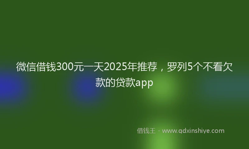 微信借钱300元一天2025年推荐，罗列5个不看欠款的贷款app