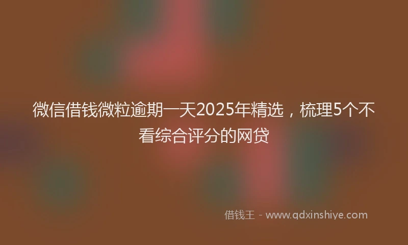 微信借钱微粒逾期一天2025年精选，梳理5个不看综合评分的网贷