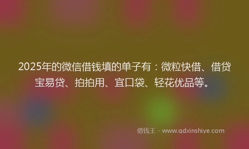 2025年的微信借钱填的单子有：微粒快借、借贷宝易贷、拍拍用、宜口袋、轻花优品等。