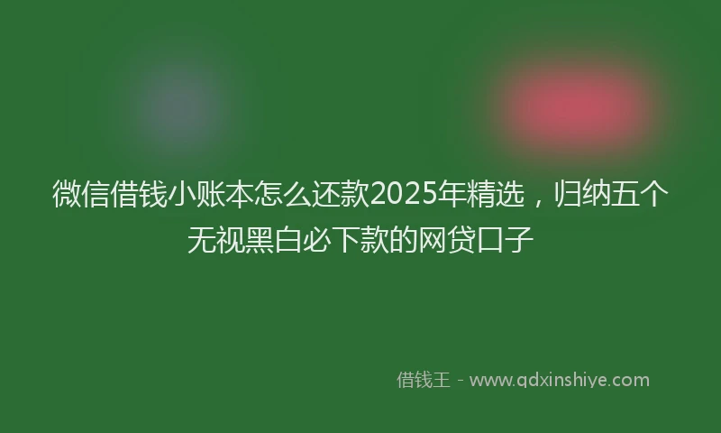 微信借钱小账本怎么还款2025年精选，归纳五个无视黑白必下款的网贷口子