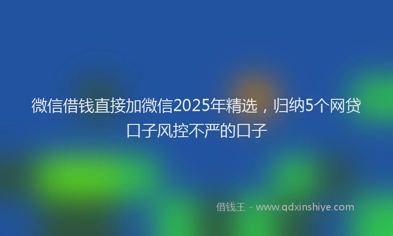 微信借钱直接加微信2025年精选，归纳5个网贷口子风控不严的口子