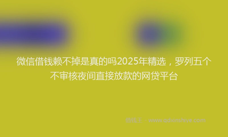 微信借钱赖不掉是真的吗2025年精选，罗列五个不审核夜间直接放款的网贷平台