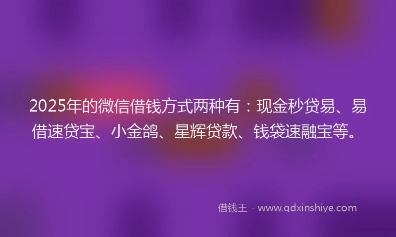 2025年的微信借钱方式两种有：现金秒贷易、易借速贷宝、小金鸽、星辉贷款、钱袋速融宝等。