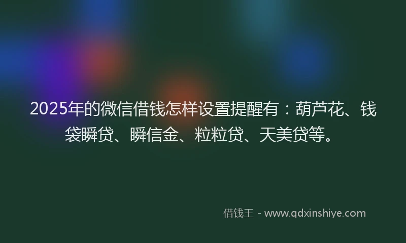 2025年的微信借钱怎样设置提醒有：葫芦花、钱袋瞬贷、瞬信金、粒粒贷、天美贷等。
