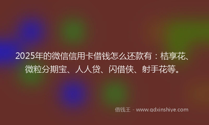 2025年的微信信用卡借钱怎么还款有：桔享花、微粒分期宝、人人贷、闪借侠、射手花等。