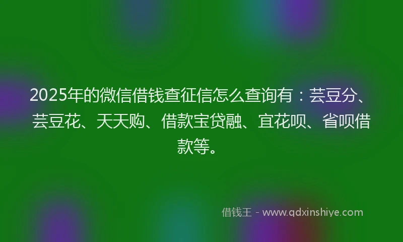 2025年的微信借钱查征信怎么查询有：芸豆分、芸豆花、天天购、借款宝贷融、宜花呗、省呗借款等。