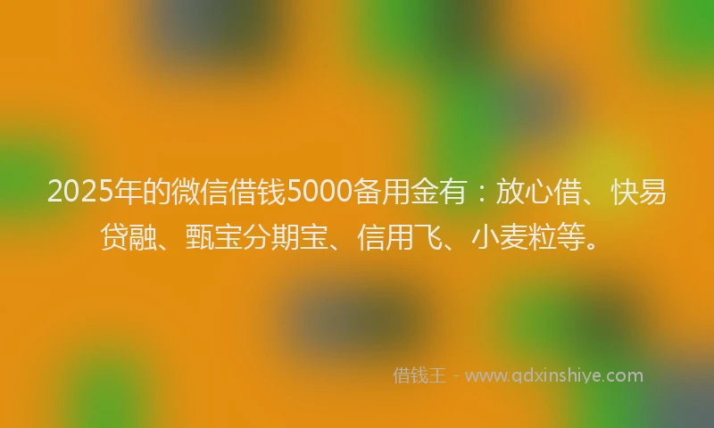 2025年的微信借钱5000备用金有：放心借、快易贷融、甄宝分期宝、信用飞、小麦粒等。
