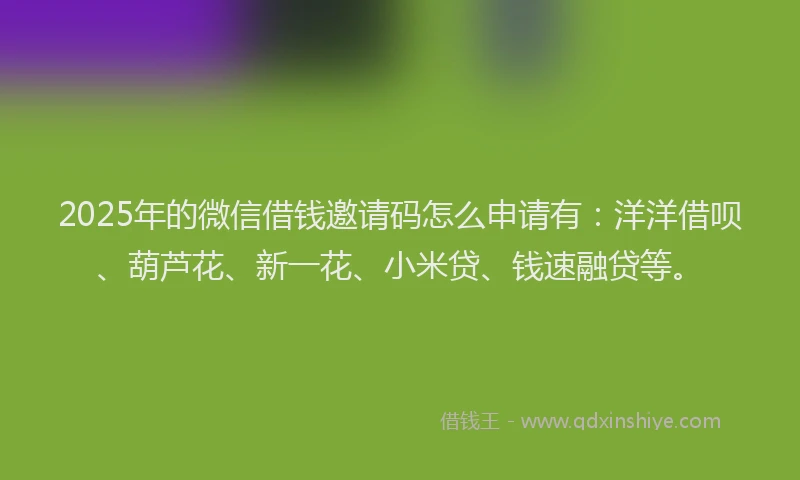 2025年的微信借钱邀请码怎么申请有：洋洋借呗、葫芦花、新一花、小米贷、钱速融贷等。