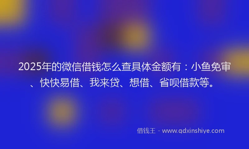 2025年的微信借钱怎么查具体金额有：小鱼免审、快快易借、我来贷、想借、省呗借款等。