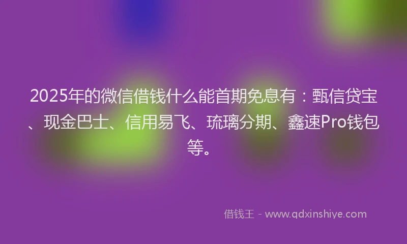 2025年的微信借钱什么能首期免息有：甄信贷宝、现金巴士、信用易飞、琉璃分期、鑫速Pro钱包等。