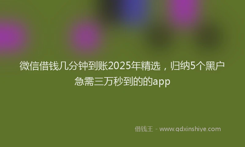 微信借钱几分钟到账2025年精选，归纳5个黑户急需三万秒到的的app