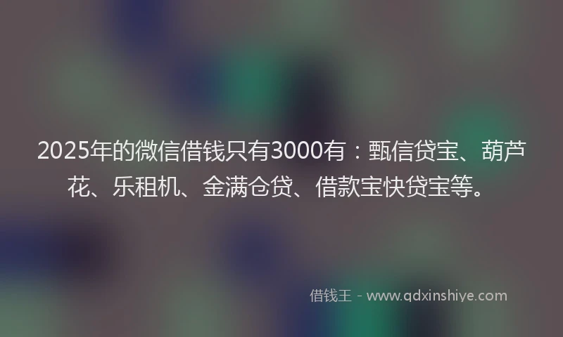 2025年的微信借钱只有3000有：甄信贷宝、葫芦花、乐租机、金满仓贷、借款宝快贷宝等。