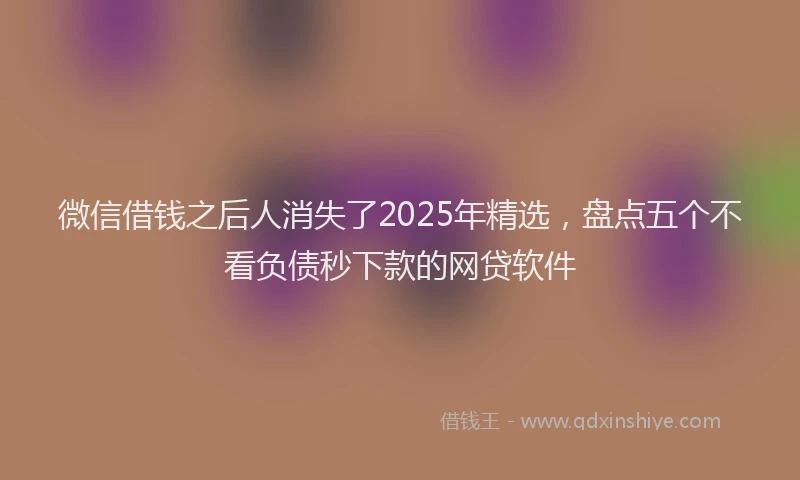 微信借钱之后人消失了2025年精选，盘点五个不看负债秒下款的网贷软件