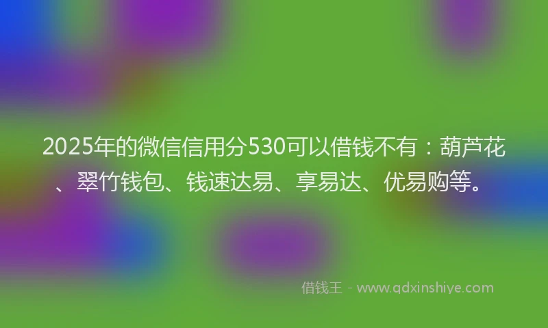 2025年的微信信用分530可以借钱不有：葫芦花、翠竹钱包、钱速达易、享易达、优易购等。