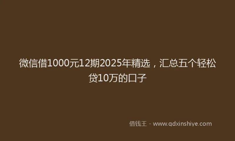 微信借1000元12期2025年精选，汇总五个轻松贷10万的口子