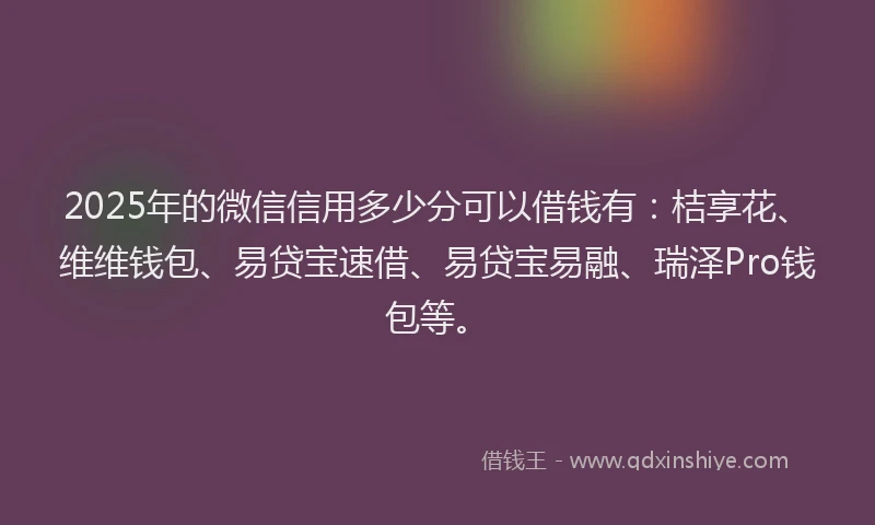 2025年的微信信用多少分可以借钱有：桔享花、维维钱包、易贷宝速借、易贷宝易融、瑞泽Pro钱包等。