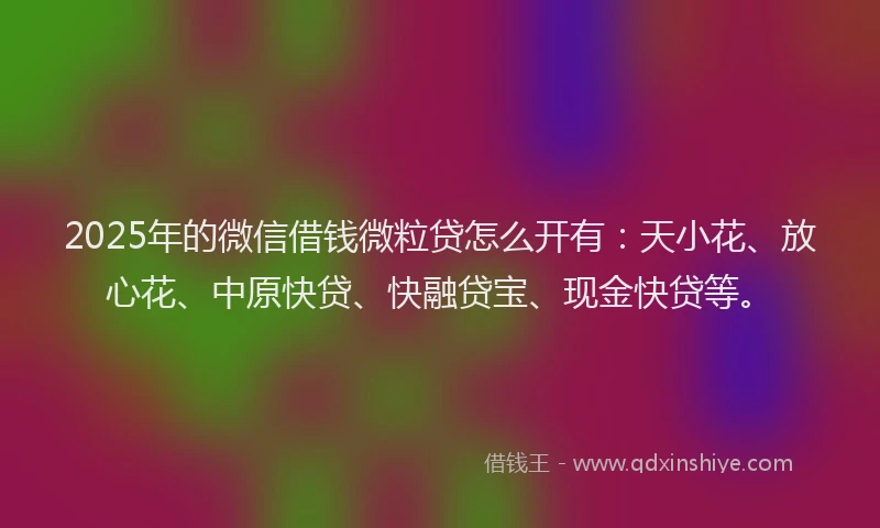 2025年的微信借钱微粒贷怎么开有：天小花、放心花、中原快贷、快融贷宝、现金快贷等。