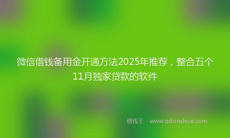 微信借钱备用金开通方法2025年推荐，整合五个11月独家贷款的软件