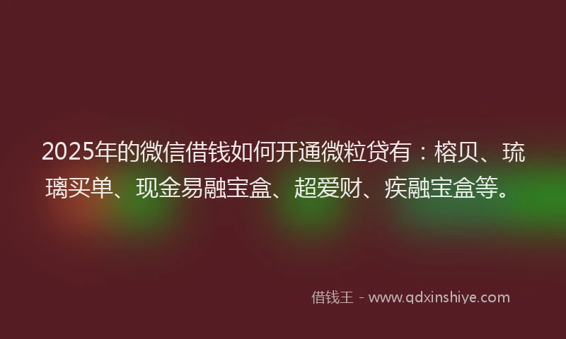 2025年的微信借钱如何开通微粒贷有：榕贝、琉璃买单、现金易融宝盒、超爱财、疾融宝盒等。