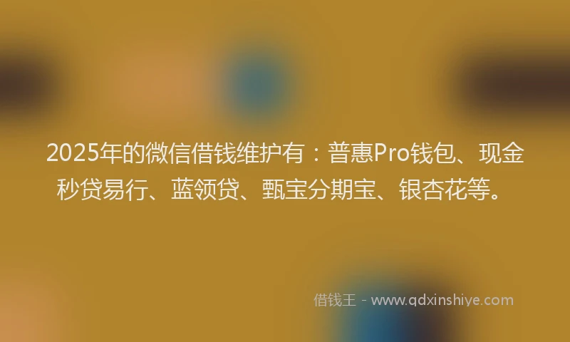 2025年的微信借钱维护有：普惠Pro钱包、现金秒贷易行、蓝领贷、甄宝分期宝、银杏花等。