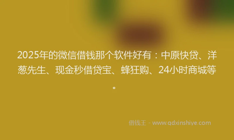 2025年的微信借钱那个软件好有：中原快贷、洋葱先生、现金秒借贷宝、蜂狂购、24小时商城等。