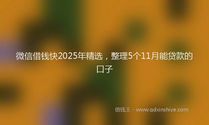 微信借钱快2025年精选，整理5个11月能贷款的口子