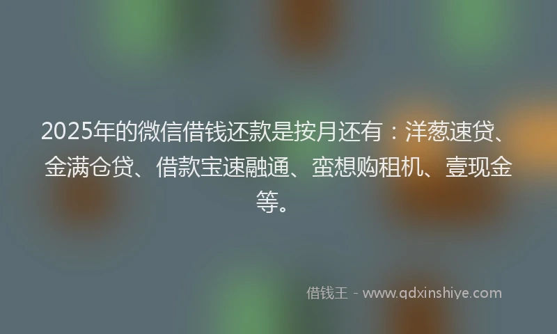 2025年的微信借钱还款是按月还有：洋葱速贷、金满仓贷、借款宝速融通、蛮想购租机、壹现金等。