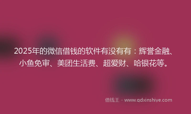 2025年的微信借钱的软件有没有有：辉誉金融、小鱼免审、美团生活费、超爱财、哈银花等。