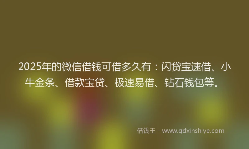 2025年的微信借钱可借多久有：闪贷宝速借、小牛金条、借款宝贷、极速易借、钻石钱包等。
