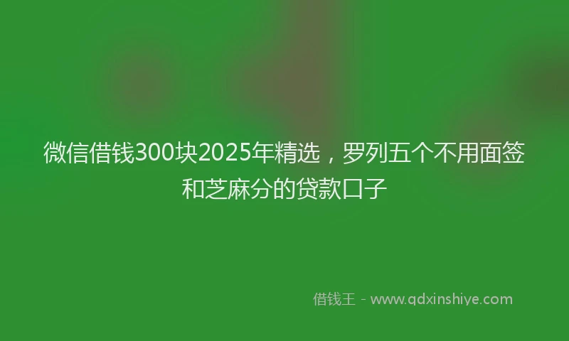 微信借钱300块2025年精选，罗列五个不用面签和芝麻分的贷款口子
