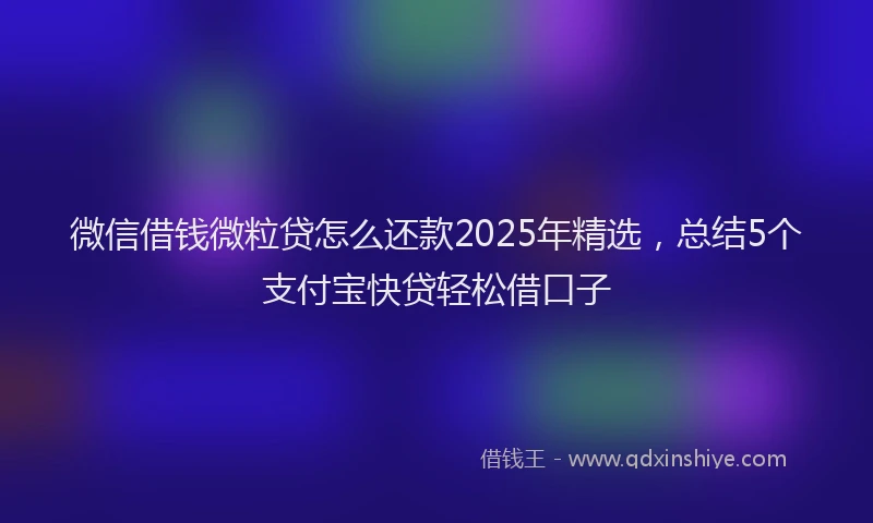 微信借钱微粒贷怎么还款2025年精选，总结5个支付宝快贷轻松借口子