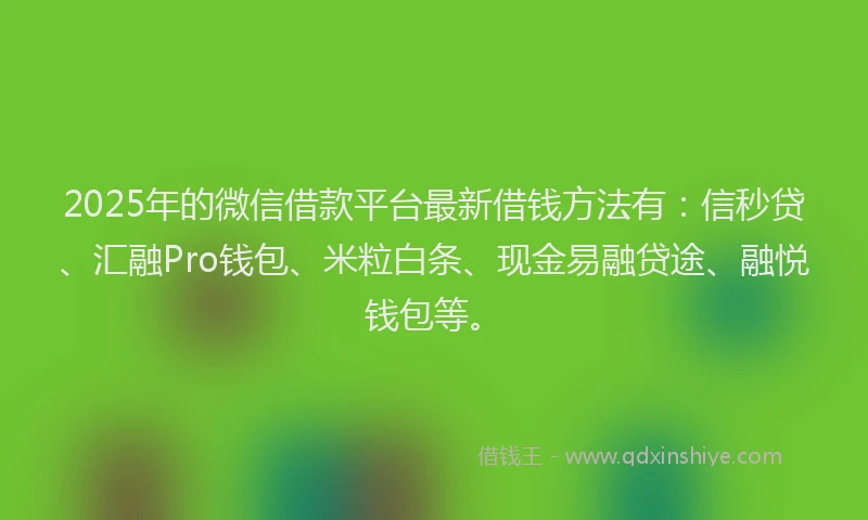 2025年的微信借款平台最新借钱方法有：信秒贷、汇融Pro钱包、米粒白条、现金易融贷途、融悦钱包等。