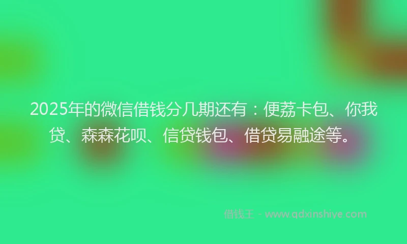 2025年的微信借钱分几期还有：便荔卡包、你我贷、森森花呗、信贷钱包、借贷易融途等。