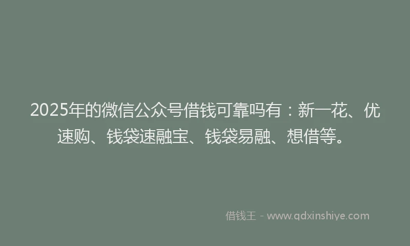 2025年的微信公众号借钱可靠吗有：新一花、优速购、钱袋速融宝、钱袋易融、想借等。