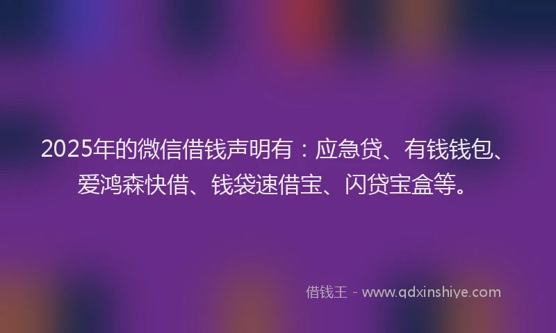 2025年的微信借钱声明有：应急贷、有钱钱包、爱鸿森快借、钱袋速借宝、闪贷宝盒等。