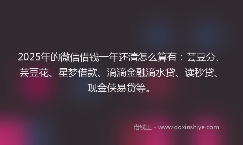 2025年的微信借钱一年还清怎么算有：芸豆分、芸豆花、星梦借款、滴滴金融滴水贷、读秒贷、现金侠易贷等。