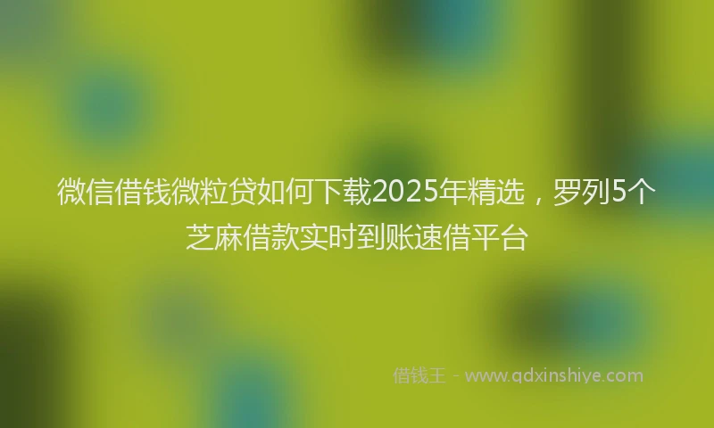 微信借钱微粒贷如何下载2025年精选，罗列5个芝麻借款实时到账速借平台
