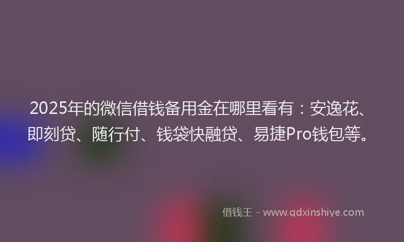 2025年的微信借钱备用金在哪里看有：安逸花、即刻贷、随行付、钱袋快融贷、易捷Pro钱包等。