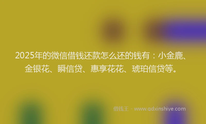 2025年的微信借钱还款怎么还的钱有：小金鹿、金银花、瞬信贷、惠享花花、琥珀信贷等。