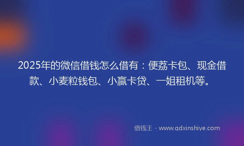 2025年的微信借钱怎么借有：便荔卡包、现金借款、小麦粒钱包、小赢卡贷、一姐租机等。
