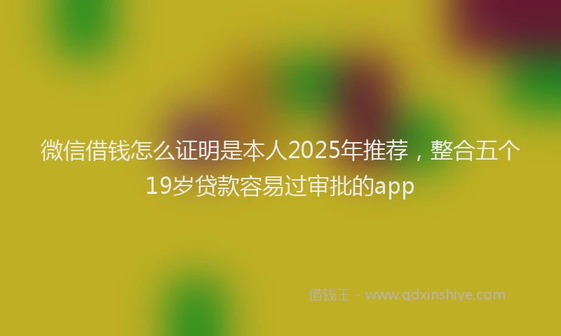 微信借钱怎么证明是本人2025年推荐，整合五个19岁贷款容易过审批的app