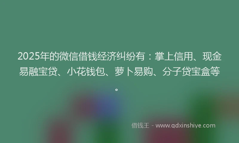 2025年的微信借钱经济纠纷有：掌上信用、现金易融宝贷、小花钱包、萝卜易购、分子贷宝盒等。
